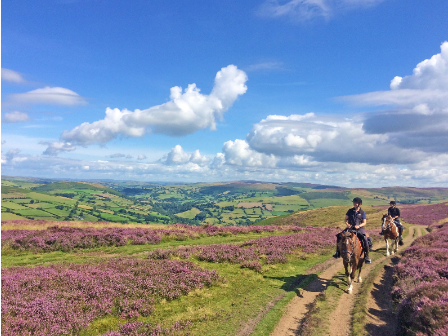 Welsh Border 4 Day Trail